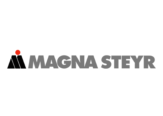 magnasteyr
